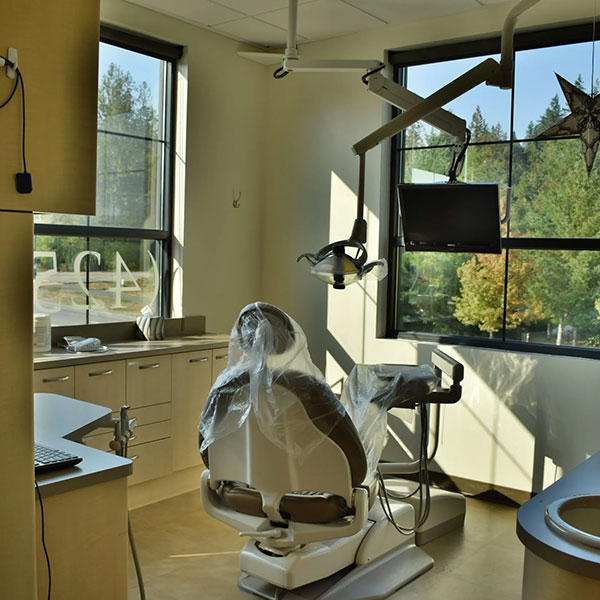 Dentist in 98065